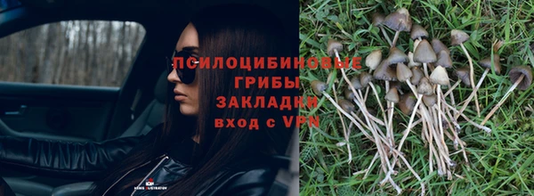 гашиш Аркадак