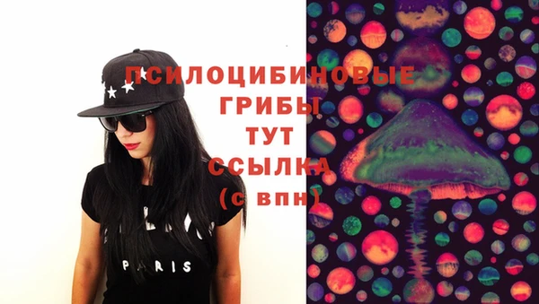 PSILOCYBIN Арсеньев